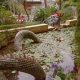 Best Dragon Garden Colonie NY Chinese & More! | The Ultimate Gardening Guide: Grow a Thriving Garden Year-Round