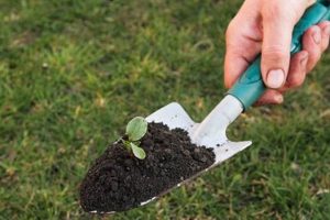 Easy Trowel Garden Ideas: Tips & Tricks for Your Garden | The Ultimate Gardening Guide: Grow a Thriving Garden Year-Round