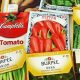 Grow Your Garden: Find Free Garden Seeds Today! | The Ultimate Gardening Guide: Grow a Thriving Garden Year-Round