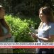 Discover Eloise Butler Garden: A Native Plant Oasis | The Ultimate Gardening Guide: Grow a Thriving Garden Year-Round