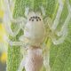 Ghostly Garden Protectors: All About Garden Ghost Spiders! | The Ultimate Gardening Guide: Grow a Thriving Garden Year-Round