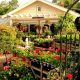 Buy a Thriving Garden Nursery For Sale Near You! | The Ultimate Gardening Guide: Grow a Thriving Garden Year-Round