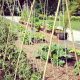 DIY String Garden Trellis Ideas + Tips & Tricks | The Ultimate Gardening Guide: Grow a Thriving Garden Year-Round