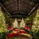 Create a Magical Christmas Garden Scene for the Holidays | The Ultimate Gardening Guide: Grow a Thriving Garden Year-Round