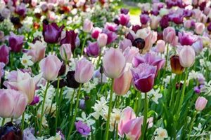 Beautiful Garden Springs: Design & Care Tips | The Ultimate Gardening Guide: Grow a Thriving Garden Year-Round