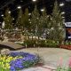 Denver's Colorado Garden & Home Show: Your Home Oasis! | The Ultimate Gardening Guide: Grow a Thriving Garden Year-Round