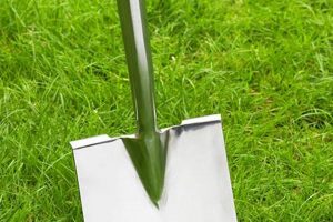 Best Garden Spades: Dig Deeper, Easier! | The Ultimate Gardening Guide: Grow a Thriving Garden Year-Round