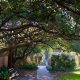 Explore Charleston SC Garden Walk: Your Gateway to Paradise | The Ultimate Gardening Guide: Grow a Thriving Garden Year-Round