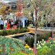 Your Guide to the Home & Garden Show Columbus, OH! | The Ultimate Gardening Guide: Grow a Thriving Garden Year-Round