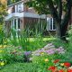 Explore Your Canton Garden: Design & Tips | The Ultimate Gardening Guide: Grow a Thriving Garden Year-Round