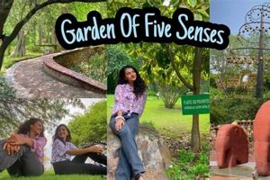 Best Garden of Five Senses Location: Design &amp; Thrive! | The Ultimate Gardening Guide: Grow a Thriving Garden Year-Round