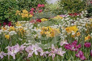 Discover Hudson, NY's Best Spring Garden [2024 Guide] | The Ultimate Gardening Guide: Grow a Thriving Garden Year-Round