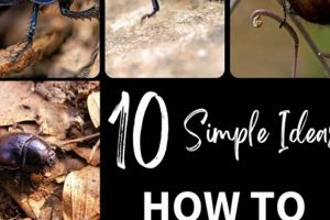 Be Gone! How to Get Rid of Beetles in Garden + Tips | The Ultimate Gardening Guide: Grow a Thriving Garden Year-Round