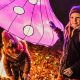 See Ohio's Garden of Lights: A Holiday Guide | The Ultimate Gardening Guide: Grow a Thriving Garden Year-Round