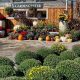 Your Garden at Reynolds Garden Shop Manahawkin - Plants & More! | The Ultimate Gardening Guide: Grow a Thriving Garden Year-Round