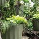 Elevate Your Garden with Stylish Crescent Garden Planters Today! | The Ultimate Gardening Guide: Grow a Thriving Garden Year-Round