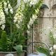 Timeless Antique Garden Decor: History in Your Garden | The Ultimate Gardening Guide: Grow a Thriving Garden Year-Round