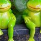 Adorable Frog Garden Decor Ideas: Style Your Garden! | The Ultimate Gardening Guide: Grow a Thriving Garden Year-Round