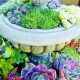 Easy Outdoor Succulent Garden Ideas + Care Tips | The Ultimate Gardening Guide: Grow a Thriving Garden Year-Round