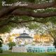 Discover the Davis Islands Garden Club: Blooms & Beauty! | The Ultimate Gardening Guide: Grow a Thriving Garden Year-Round