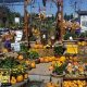 Your Guide: Fort Worth Home & Garden Show 2024 | The Ultimate Gardening Guide: Grow a Thriving Garden Year-Round