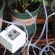 Garden's Smart: Automatic Watering System Benefits &amp; Tips | The Ultimate Gardening Guide: Grow a Thriving Garden Year-Round