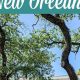 Discover New Orleans Garden District Tour: History & Charm | The Ultimate Gardening Guide: Grow a Thriving Garden Year-Round
