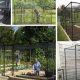 Grow Safe: Cage Garden Ideas & Benefits Today! | The Ultimate Gardening Guide: Grow a Thriving Garden Year-Round