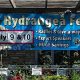 Discover Garden World Bayside - Your Bay Area Garden Oasis! | The Ultimate Gardening Guide: Grow a Thriving Garden Year-Round