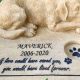 Cherished Dog Memorial Stones Garden: A Lasting Tribute | The Ultimate Gardening Guide: Grow a Thriving Garden Year-Round