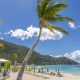 Explore Cane Garden Bay: A BVI Garden Paradise | The Ultimate Gardening Guide: Grow a Thriving Garden Year-Round