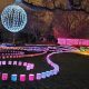 St. Louis Garden Glow: A Holiday Light Show | The Ultimate Gardening Guide: Grow a Thriving Garden Year-Round