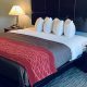 Little Rock's Garden Inn & Suites: Best Rates & Deals! | The Ultimate Gardening Guide: Grow a Thriving Garden Year-Round