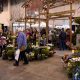 Your Guide: Denver Home & Garden Show 2025 | Tips & More | The Ultimate Gardening Guide: Grow a Thriving Garden Year-Round