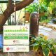 Grow Well: Clinton Community Garden Tips & More | The Ultimate Gardening Guide: Grow a Thriving Garden Year-Round