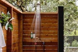 Small Garden in Shower Ideas: A Refreshing Oasis The Ultimate Gardening Guide: Grow a Thriving Garden Year-Round Small Garden in Shower Ideas: A Refreshing Oasis | The Ultimate Gardening Guide: Grow a Thriving Garden Year-Round