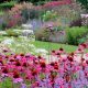 Grow Beauty: Wildflower Garden Ideas for You! | The Ultimate Gardening Guide: Grow a Thriving Garden Year-Round