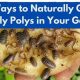 Rolly Pollies Begone: How to Get Rid of Rolly Pollies in Your Garden Fast | The Ultimate Gardening Guide: Grow a Thriving Garden Year-Round