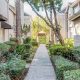 Discover Woodway Garden Townhomes: Serene Living Awaits | The Ultimate Gardening Guide: Grow a Thriving Garden Year-Round