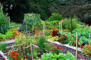 Your Garden Patch Oasis: Grow More, Effortlessly | The Ultimate Gardening Guide: Grow a Thriving Garden Year-Round