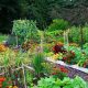 Your Garden Patch Oasis: Grow More, Effortlessly | The Ultimate Gardening Guide: Grow a Thriving Garden Year-Round