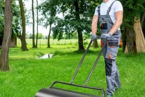 Best Garden Roller For Lawn: Guide & Uses | The Ultimate Gardening Guide: Grow a Thriving Garden Year-Round