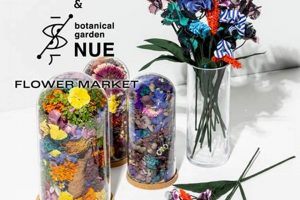 Create a Loveco Garden: Designs & Tips For Your Space! The Ultimate Gardening Guide: Grow a Thriving Garden Year-Round Create a Loveco Garden: Designs & Tips For Your Space! | The Ultimate Gardening Guide: Grow a Thriving Garden Year-Round