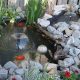 Create Your Dream Serenity Garden: Tips & Ideas | The Ultimate Gardening Guide: Grow a Thriving Garden Year-Round