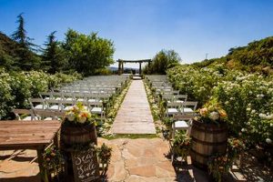 Enchanted: Serendipity Garden Weddings & Everlasting Memories The Ultimate Gardening Guide: Grow a Thriving Garden Year-Round Enchanted: Serendipity Garden Weddings & Everlasting Memories | The Ultimate Gardening Guide: Grow a Thriving Garden Year-Round