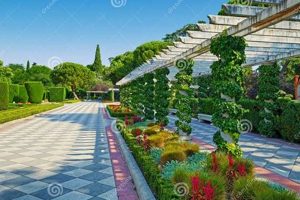 Discover Cecilio Rodriguez Garden: Madrid's Oasis | The Ultimate Gardening Guide: Grow a Thriving Garden Year-Round