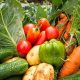 Grow Garden Foods: Tips &amp; Delicious Harvests | The Ultimate Gardening Guide: Grow a Thriving Garden Year-Round