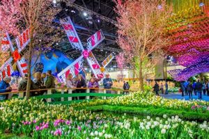 Experience the Boston Flower & Garden Show Magic! The Ultimate Gardening Guide: Grow a Thriving Garden Year-Round Experience the Boston Flower & Garden Show Magic! | The Ultimate Gardening Guide: Grow a Thriving Garden Year-Round