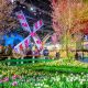 Experience the Boston Flower & Garden Show Magic! | The Ultimate Gardening Guide: Grow a Thriving Garden Year-Round