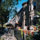 Living in Lefferts Garden, Brooklyn: A Complete Guide | The Ultimate Gardening Guide: Grow a Thriving Garden Year-Round